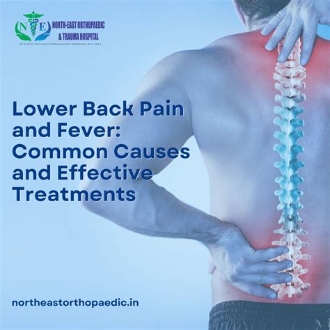 Lower Back Pain and Fever: Common Causes and Effective Treatments