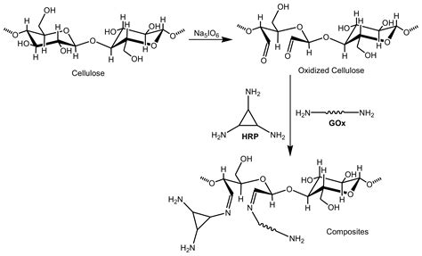 Recent Advances in Cellulose-Based Biosensors for Medical Diagnosis