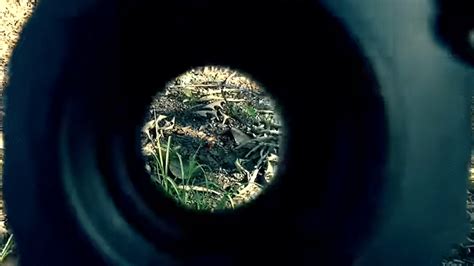 Image result for Vortex SPARC AK