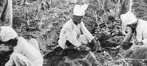 The Miraculous Benefits of Korean Red Ginseng forHealthyHair – Keya ...