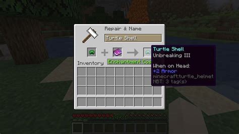 Top 5 enchantments for turtle shells in Minecraft