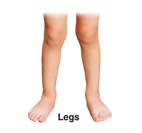 Dreamland Yoga Chart 1 for Kids: Multicolor - Hamleys Online Shopping