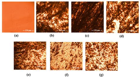 Pharmaceutics | Special Issue : Recent Progress in Formulation ...