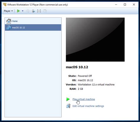 Mac OS Virtual Machine 的图像结果