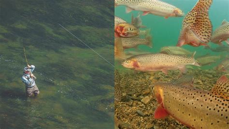 Fly Fishing - Patagonia