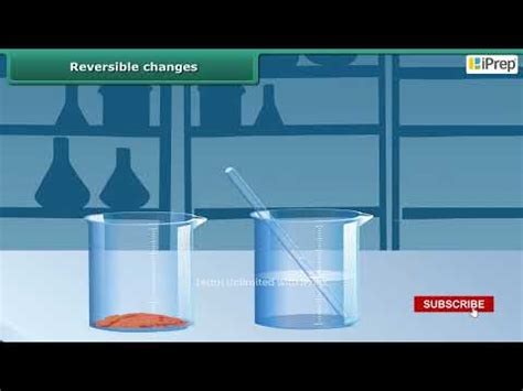 Scientific Method Around Us II Video Lecture - Crash Course for Class 6