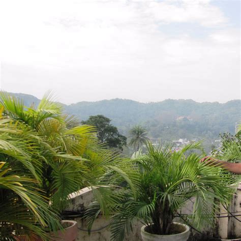 HOTEL PARASH NEW (Mount Abu, Rajasthan) - Hotel Reviews, Photos, Rate ...