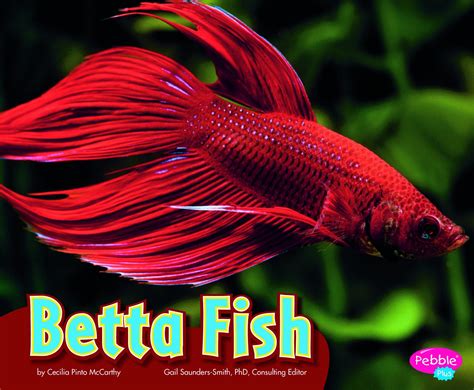 Betta Fish : McCarthy, Cecilia Pinto: Amazon.in: Books