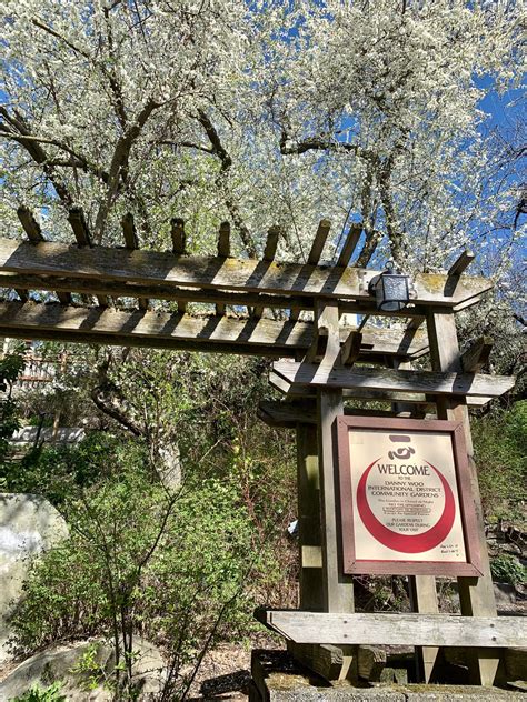 Danny Woo Community Garden – InterimCDA