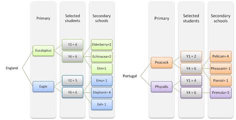 Image result for Nested Study Design