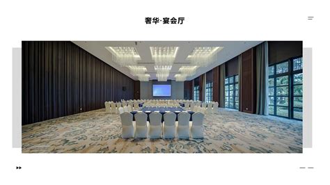 Luxury Hotel Ballroom Axminster Carpet Floor Covering Wall to Wall ...