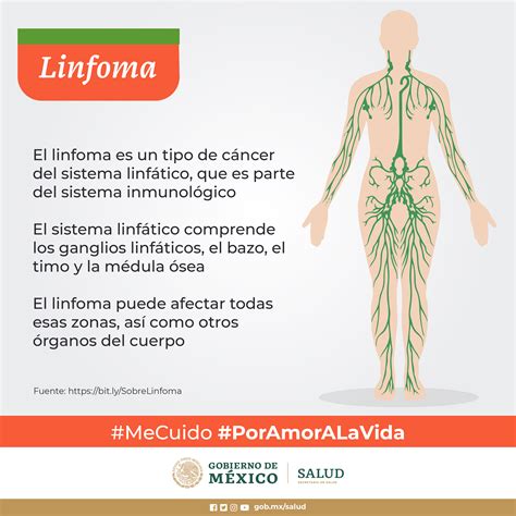 Linfoma, enfermedad oncológica que puede ser curable | Secretaría de ...