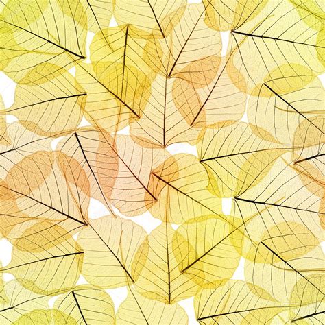 Image result for Fall Pattern Background HD