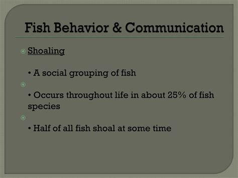 Fish Swim Behavior 的图像结果