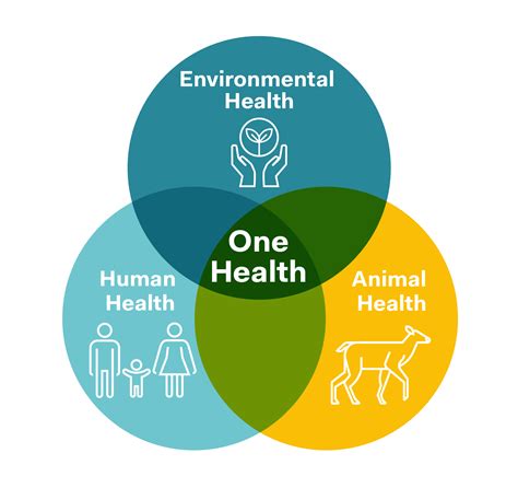 Image result for One Health CDC