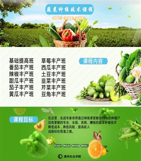 潭州课堂-潭州农业蔬菜种植公开课