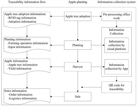 Streamlining Traceability Data Generation in Apple Production Using ...