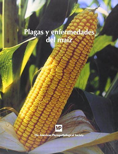 Plagas y enfermedades del Maize (Spanish Edition) : Amazon.in: Books