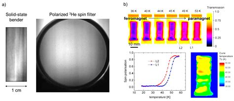 Imaging with Polarized Neutrons