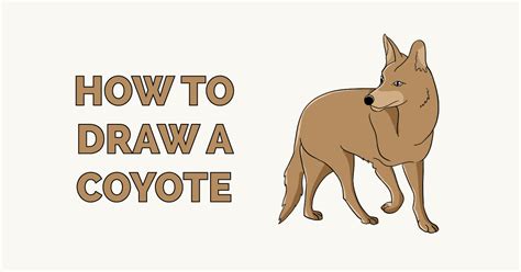 How to Draw a Coyote - Really Easy Drawing Tutorial