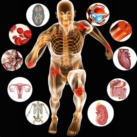 Human Physiology Wallpapers - Top Free Human Physiology Backgrounds - WallpaperAccess