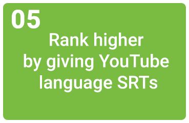 VidScribe - Automatic transcription, translation, subtitling and ...