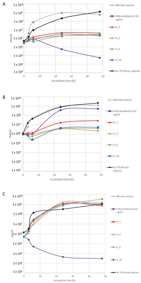 Cichorium intybus L. Hairy Roots as a Platform for Antimicrobial Activity
