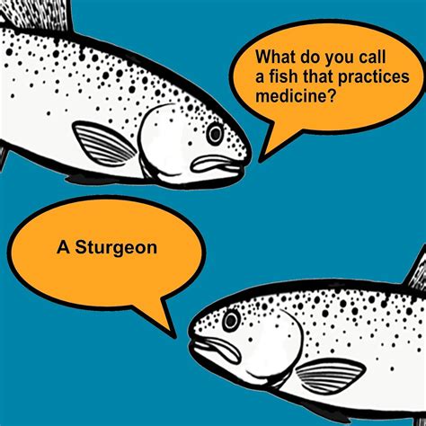 Funny Fish Jokes 50 Funny Fish Jokes Sure To Make Kids Laugh