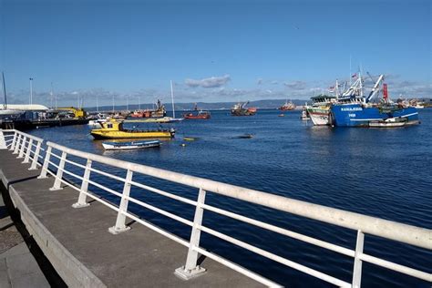 2026 Walking Tour around Talcahuano City Centre (with Reviews)