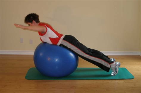 Image result for Stability Ball Back Exercises