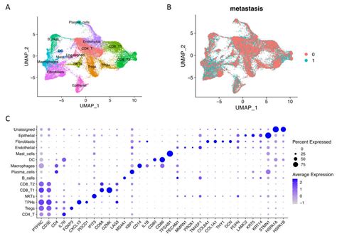 Comprehensive Integrated Single-Cell Whole Transcriptome Analysis ...