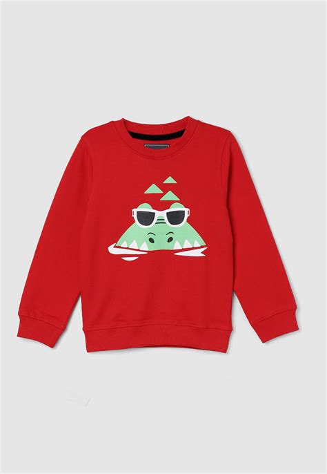 Buy Boys Sweatshirts Online at Best Prices in India | Max Fashion
