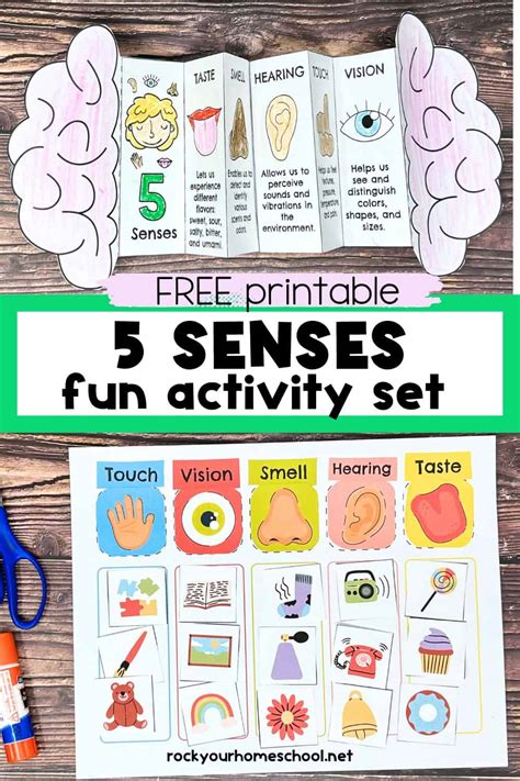 5 Senses Printables Free