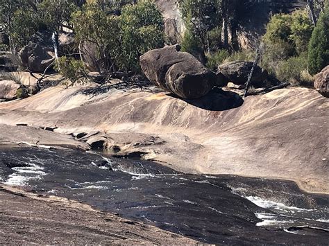 GIRRAWEEN ENVIRONMENTAL LODGE (Ballandean) - Lodge Reviews & Photos ...