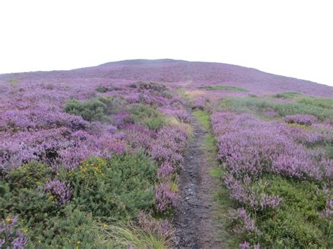 Clwydian Range Archaeology Group AGM and Talks , Loggerheads Country ...