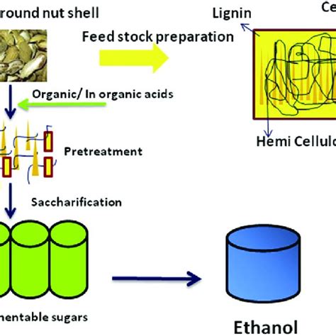 Image result for Paper From Groundnut Shell Making Process