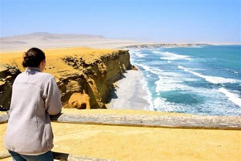 2026 Ballestas Islands and Paracas National Reserve Day Trip from ...