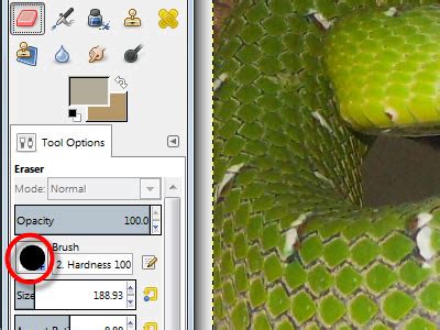 Image result for GIMP Tutorials Eraser