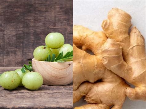 Health Tips: ನೆಲ್ಲಿಕಾಯಿ-ಶುಂಠಿ ಮಿಶ್ರಿತ ನೀರು ಚಳಿಗಾಲದಲ್ಲಿ ಕುಡಿಯಬೇಕು! ಯಾಕೆ ...