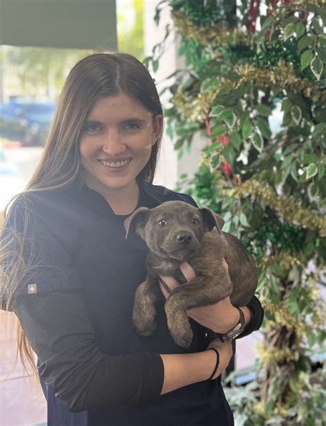 Pico Veterinary Hospital of San Clemente - United Veterinary Care