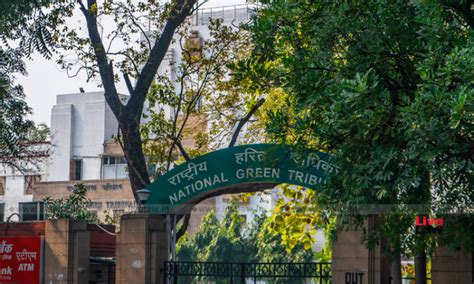 National Green Tribunal Forms Committee To File Action Taken Report On ...