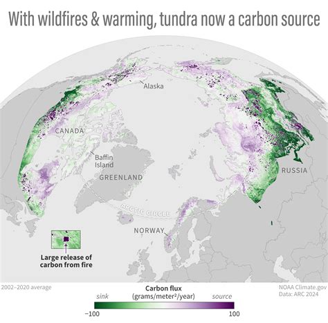 Arctic Tundra Biome Climate