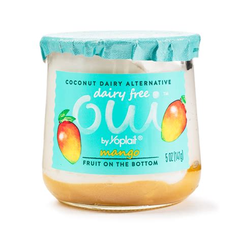 Is Oui Dairy Free Yogurt Healthy at Holly Suarez blog