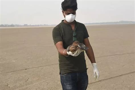 1,436 Dead Birds Found In Sambhar Lake Nawa Belt, Toll Mounts To 8,065