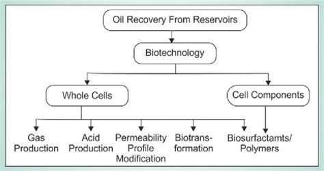 Biotechnology Flowchart 的图像结果