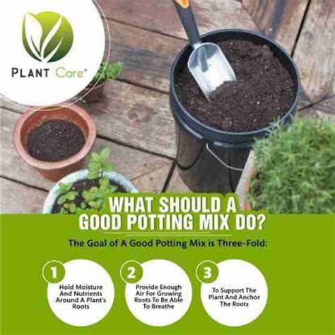 PLANT CARE Organic Potting Soil Mix Fertilizer Enriched with ...