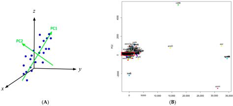 Investigation of the Genes Involved in the Outbreaks of Escherichia ...