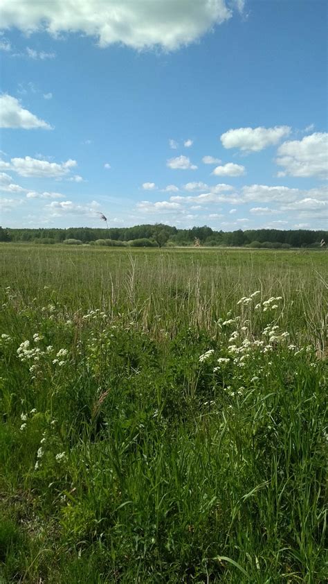 Image result for Spring Weather Picures