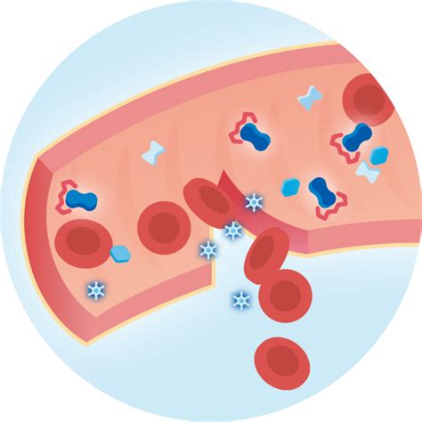Clotting Cascade: How Blood Clots Form