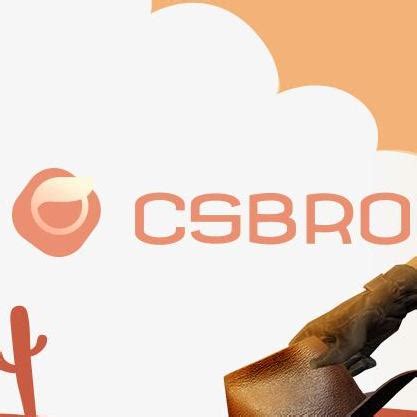 Image result for Promo Code Csbro
